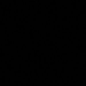 Meet your Posher, Dani